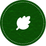 pure green coffee
